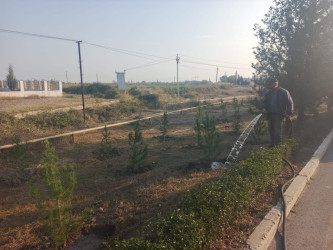 Tərtər şəhəri ərazisində növbəti iməclik aksiyası keçirilib