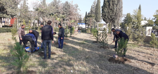 Tərtər şəhəri ərazisində növbəti iməclik aksiyası keçirilib