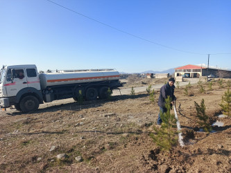 Tərtər rayonu ərazisində növbəti iməclik aksiyası keçirilib