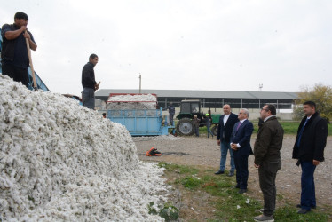 Rayon rəhbəri Prime Cotton MMC-nin Tərtər filialında və “Azərpambıq” MMC-nin Tərtər pambıq məntəqəsində pambıq yığımının gedişi və tədarükü ilə tanış olub
