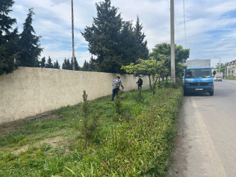 Tərtər şəhəri ərazisində iməclik aksiyası keçirilib