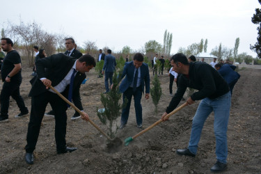 Rəqəmsal İnkişaf və Nəqliyyat Nazirliyi Tərtər rayonunda “Heydər Əliyev İli” çərçivəsində ağacəkmə aksiyası keçirib