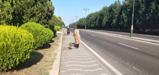 Tərtər şəhəri ərazisində iməclik aksiyası keçirilib