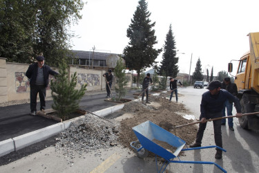 Tərtərdə “Heydər Əliyev ili” çərçivəsində növbəti ağacəkmə aksiyası keçirilib