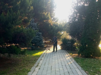 Tərtər şəhəri ərazisində növbəti iməclik aksiyası keçirilib