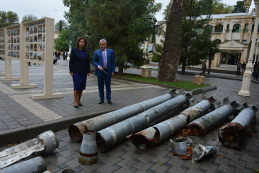 Ailə, Qadın və Uşaq Problemləri üzrə Dövlət Komitəsinin sədri Tərtər rayonunda  səfərdə olub