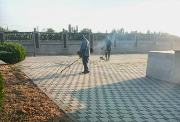 Tərtər şəhəri ərazisində iməclik aksiyası keçirilib