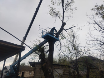 Şəhid anasının müraciəti təmin olundu