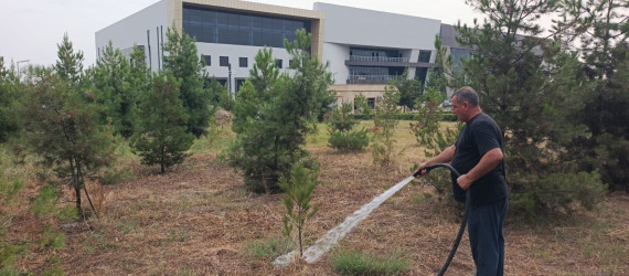 Tərtər şəhəri ərazisində iməclik aksiyası keçirilib