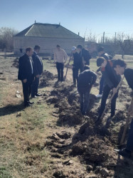 Tərtərdə "Yaşıl dünya naminə həmrəylik ili" çərçivəsində növbəti ağacəkmə aksiyası Borsunlu kəndi ərazisində keçirilib