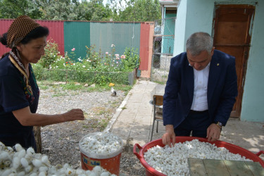 Rayon rəhbəri Qaynaq kəndində baramanın yığılması və təmizlənməsi şəraiti ilə tanış olub