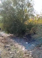 İcra başçısının qəbul-görüşü zamanı qaldırılan məsələ öz həllini tapıb