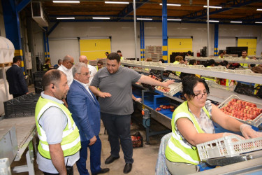 Tərtər Rayon İcra Hakimiyyətinin başçısı "Aqropat" MMC-nin intensiv meyvə bağları və müasir suvarma infrastrukturu ilə tanış olub
