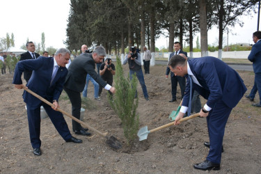 Rəqəmsal İnkişaf və Nəqliyyat Nazirliyi Tərtər rayonunda “Heydər Əliyev İli” çərçivəsində ağacəkmə aksiyası keçirib