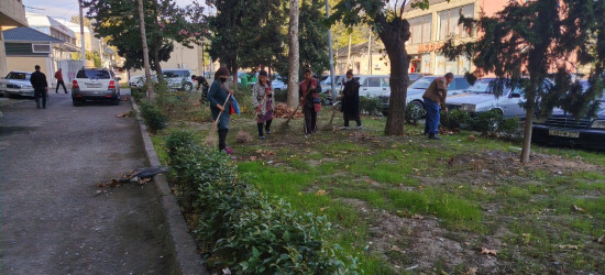 Tərtər şəhəri ərazisində iməclik aksiyası keçirilib