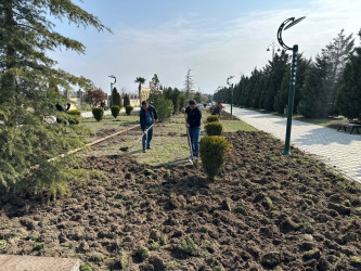 Tərtər şəhəri ərazisində iməclik aksiyası keçirilib