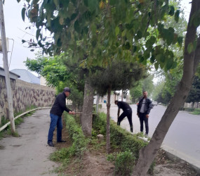 Tərtər şəhəri ərazisində iməclik aksiyası keçirilib
