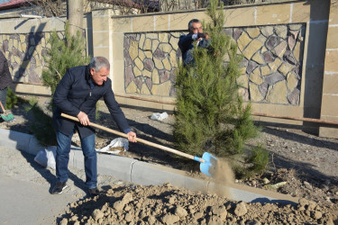 Tərtərin küçələri təmir olunur, M.Ə.Sabir adına park yenidən qurulur