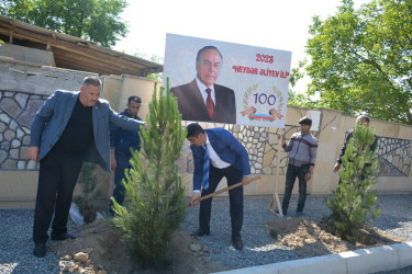 “Heydər Əliyev ili” çərçivəsində Tərtərdə növbəti ağacəkmə aksiyası keçirilib