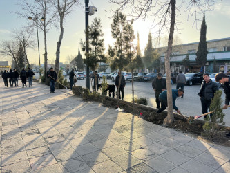 Tərtərdə “Şəhərsalma və Memarlıq İli” çərçivəsində ağacəkmə aksiyası keçirilib