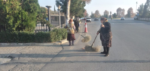 Tərtər şəhəri ərazisində iməclik və ağacəkmə aksiyası keçirilib