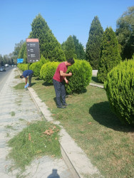 Tərtər şəhəri ərazisində növbəti iməclik aksiyası keçirilib