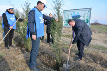 Tərtərdə "Yaşıl dünya naminə həmrəylik ili" çərçivəsində Azərbaycan Respublikasının Prezidenti cənab İlham Əliyevin doğum gününə həsr olunan  ağacəkmə aksiyası keçirilib