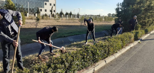 Tərtər şəhəri ərazisində növbəti iməclik aksiyası keçirilib