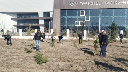 Tərtərdə Yeni Azərbaycan Partiyasının təsis edilməsinin 33-cü ildönümü münasibətilə ağacəkmə aksiyası keçirilib