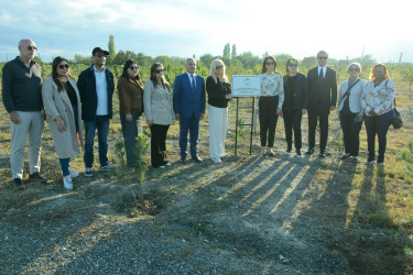 Ombudsmanların Beynəlxalq Bakı Forumunun iştirakçıları Tərtər rayonunda olublar