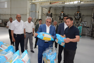 Tərtər Rayon İcra Hakimiyyətinin başçısı Xoruzlu kəndində "PATRON" MMC-yə məxsus günəbaxan tumlarının emalı müəssisəsi ilə tanış olub