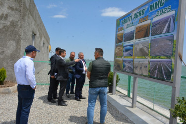 Tərtərdə “Frutti Aqro” MMC tərəfindən yeni salınmış intensiv meyvə bağına baxış keçirilib