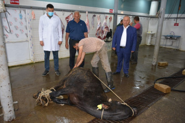 Tərtərdə Qurban Bayramı qeyd olunur