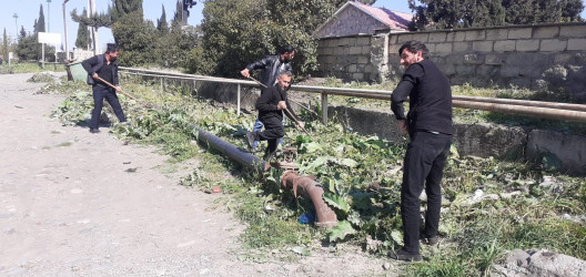 Tərtər şəhəri ərazisində iməclik aksiyası keçirilib