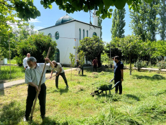 “Yaşıl gələcək naminə” adlı yaşıllaşdırma aksiyası davam etdirilib