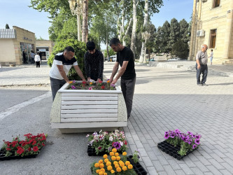 “Yaşıl dünya naminə həmrəylik ili” çərçivəsində Tərtər şəhəri ərazisində gül və çiçək kolları əkilib