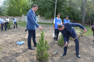 Tərtərdə “Şəhərsalma və Memarlıq İli” çərçivəsində 27 sentyabr Anım gününün altıncı ildönümü ilə əlaqədar ağacəkmə aksiyası keçirilib
