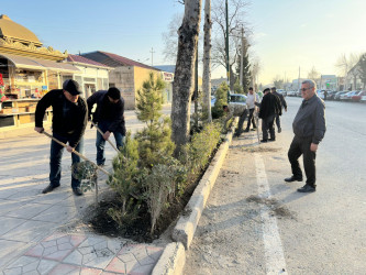Tərtərdə “Şəhərsalma və Memarlıq İli” çərçivəsində ağacəkmə aksiyası keçirilib