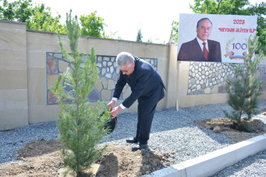 “Heydər Əliyev ili” çərçivəsində Tərtərdə növbəti ağacəkmə aksiyası keçirilib