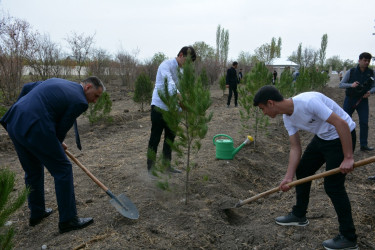 Rəqəmsal İnkişaf və Nəqliyyat Nazirliyi Tərtər rayonunda “Heydər Əliyev İli” çərçivəsində ağacəkmə aksiyası keçirib