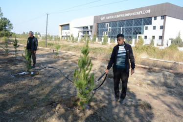 Tərtərdə 8 Noyabr Zəfər Gününün beşinci ildönümü ilə əlaqədar ağacəkmə aksiyası keçirilib