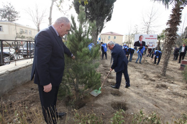 Tərtərdə “Heydər Əliyev ili” çərçivəsində növbəti ağacəkmə aksiyası keçirilib