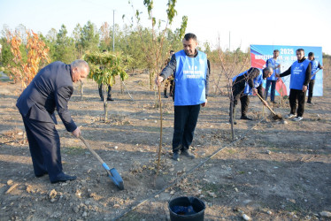 Tərtərdə “Konstitusiya və Suverenlik İli” çərçivəsində 8 Noyabr Zəfər Gününün beşinci ildönümü ilə əlaqədar növbəti ağacəkmə aksiyası keçirilib