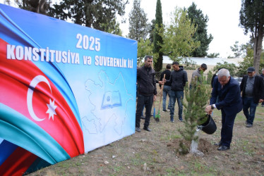Tərtərdə “Konstitusiya və Suverenlik İli” çərçivəsində növbəti ağacəkmə aksiyası keçirilib