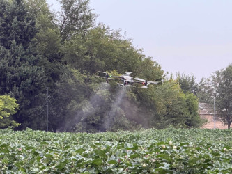 Tərtərdə aqrar sahədə müasir dron texnologiyalarının tətbiqinə dair fermerlərlə maarifləndirici tədbir keçirildi