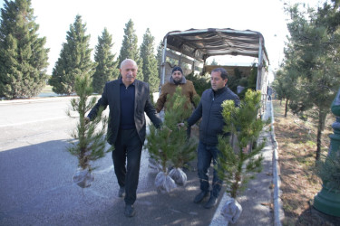 Tərtərdə “Şəhərsalma və Memarlıq İli” çərçivəsində Xocalı soyqrımının 34-cü il dönümü ilə əlaqədar ağacəkmə aksiyası keçirilib
