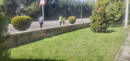 Tərtər şəhəri ərazisində abadlıq və təmizlik işləri görülüb