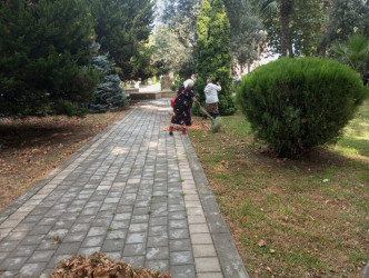 Tərtər şəhəri ərazisində iməclik aksiyası keçirilib