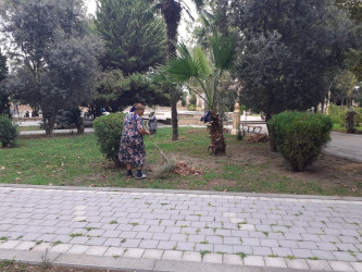 Tərtər şəhəri ərazisində iməclik aksiyası keçirilib