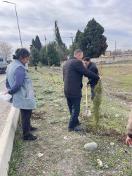 Seydimli kəndində ağacəkmə və təmizlik aksiyası keçirilib